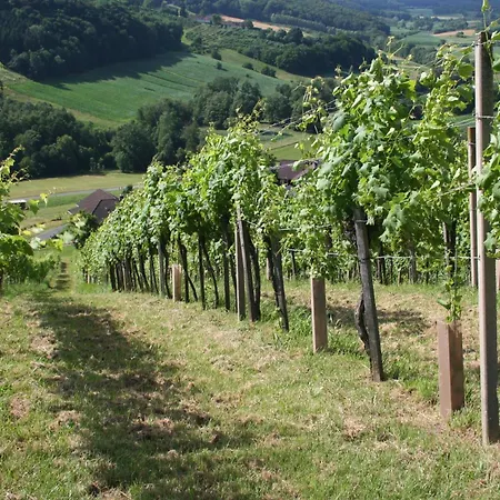 펜션 Rebenchalet *