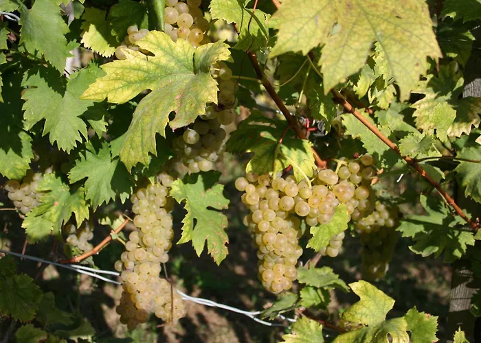 Holiday home Rebenchalet