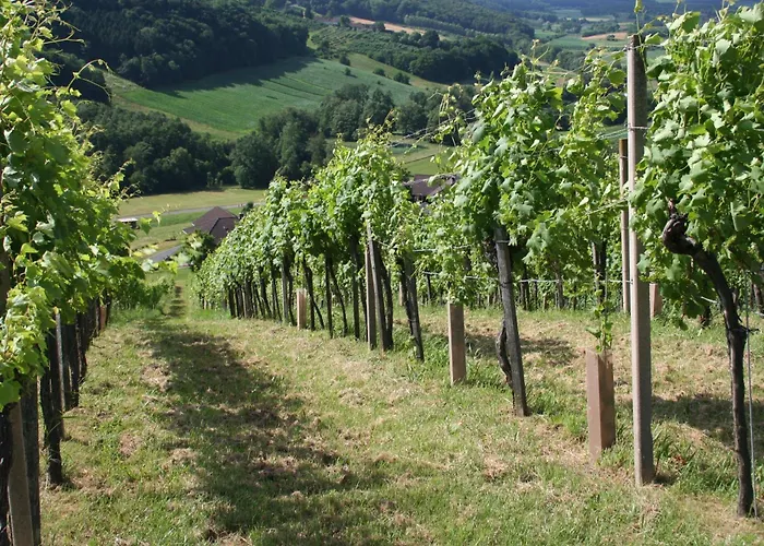 Holiday home Rebenchalet *