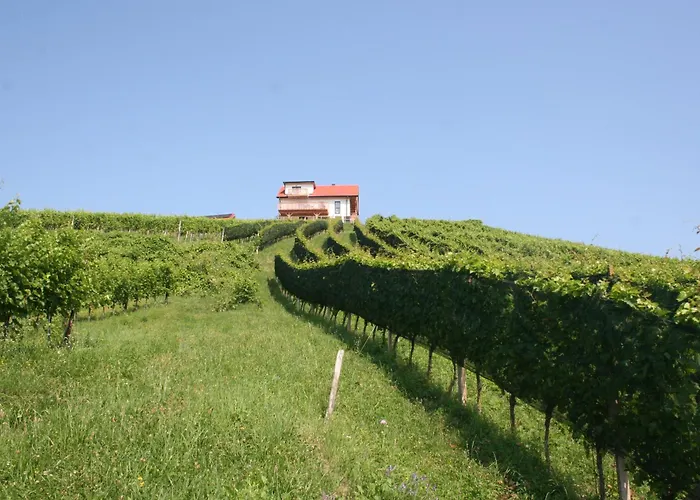 Rebenchalet Holiday home